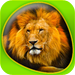 Animals 360